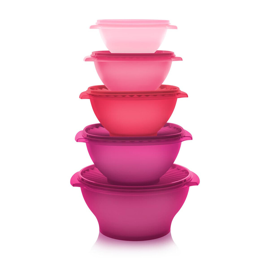 conjunto de 5 tigelas servalier rosa