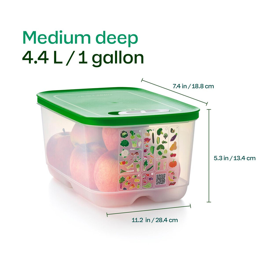 fridgesmart médio profundo verde inverno