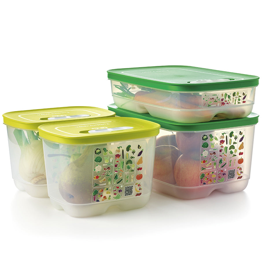 fridgesmart conjunto inicial de 4 peças margarita pequena profunda verde inverno média média profunda