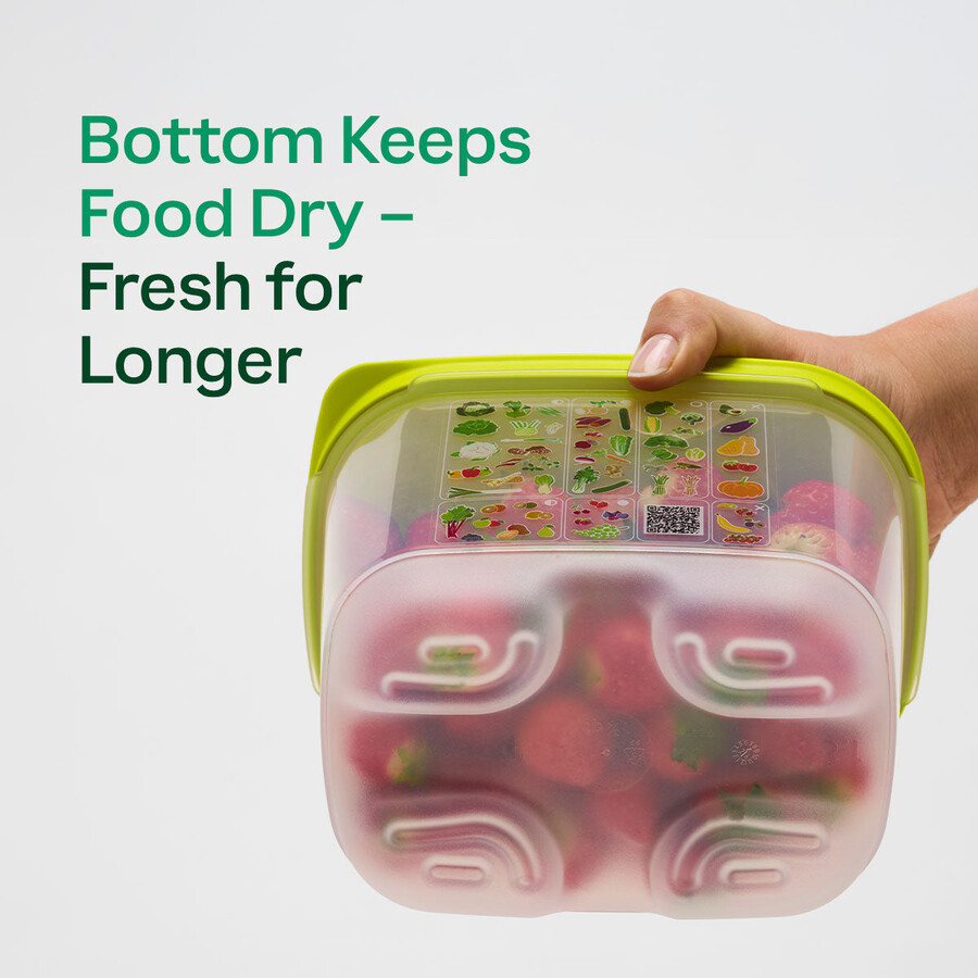 fridgesmart conjunto inicial de 4 peças margarita pequena profunda verde inverno média média profunda