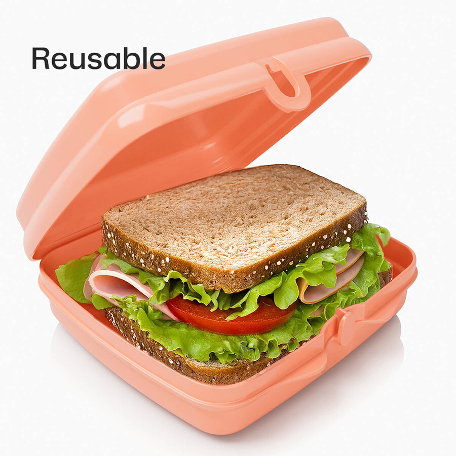 conjunto de 2 lancheiras tupperware para sanduíches - fácil de abrir - ideal para crianças